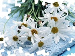 bouquet, Camomile