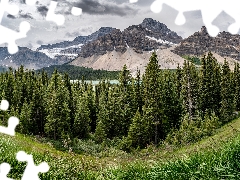 Bow Lake, trees, Canada, viewes, Province of Alberta, Mountains, Banff National Park, clouds