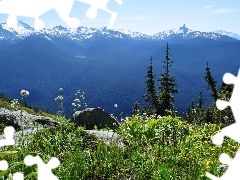 rocks, Mountains, Canada, VEGETATION