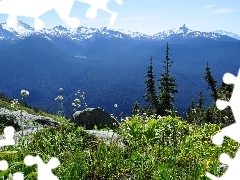 rocks, Mountains, Canada, VEGETATION