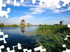 cane, Windmills, water