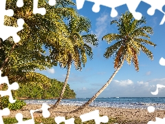 Caribbean Sea, Grenada, Island, Tropical, Palms, La Sagesse Beach