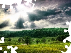 cars, clouds, medows, roads, forest