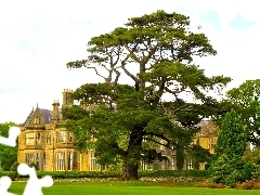oak, Castle