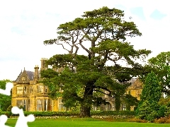 oak, Castle