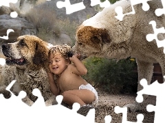 Dogs, play, Central Asian Shepherd, Kid