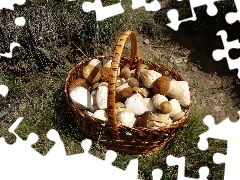 basket, ceps