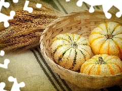 basket, Ears, cereals, pumpkin