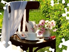 Chair, Garden, Cosmos, Book, Flowers