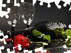 champagne, glasses, rose, Bottle, red hot