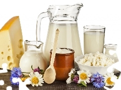 White, milk, Yellow, cheese, dairy, cheese, Flowers