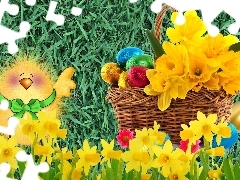 eggs, Easter, chicken, Daffodils, basket, color