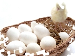 chicken, basket, eggs