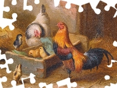 rooster, chickens, Edgar Hunt, chicken