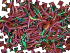 Chili, color, Chilies