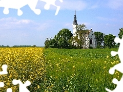 Church, Field, rape