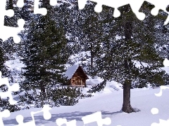 winter, wooden, church, forest