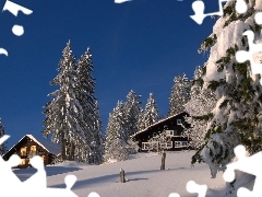 Snowy, winter, clean, Sky, Conifers, Houses