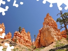 clean, Sky, trees, Softwood, rocks