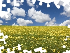 clouds, Meadow, dandelions