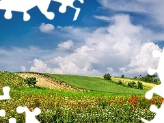 medows, Austria, clouds, Flowers, field, summer