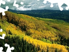 clouds, landscape, forest