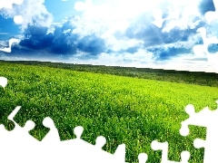 clouds, Meadow, grass