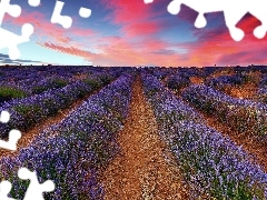 clouds, Field, lavender