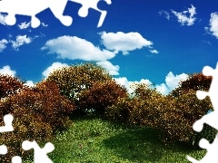 clouds, Bush, Meadow