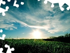 Meadow, grass, clouds, Green