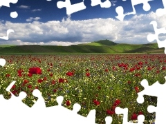 Meadow, Mountains, clouds, Flowers