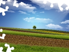 medows, trees, clouds, field