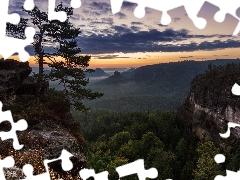 pine, clouds, Mountains, rocks, Sunrise