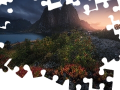 Plants, Lofoten, Norwegian Sea, viewes, Houses, Norway, Reine Village, clouds, trees, Mountains