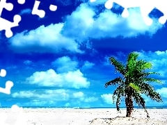 clouds, Beaches, Palm