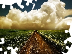 clouds, Field, Path