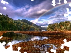 clouds, Great Rainbows, marshland, woods, River