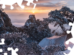 clouds, winter, snow, Mountains, pine, Sunrise, rocks, dawn, Fog