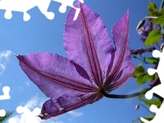 clouds, Sky, Violet, traveller