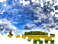 clouds, Field, Sky