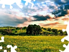 Clouds, Sky, trees, viewes, Meadow