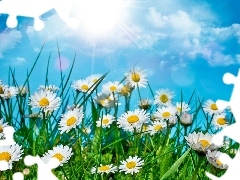 clouds, sun, daisies, grass, Meadow