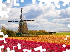 Windmill, tulips, clouds, Field