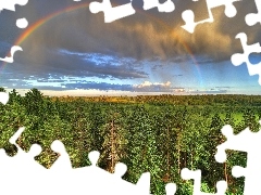 woods, Great Rainbows, clouds, medows