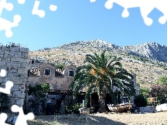 Mountains, Palm, Coartia, house