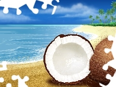 Coconut, Beaches, water