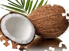 Coconut