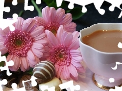 coffee, Chocolates, gerberas, cup, Pink