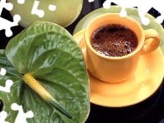 Anturium, cup, coffee, green ones