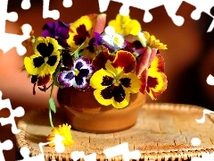 pansies, small bunch, Colorful
